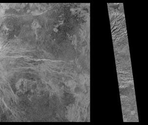 PIA00207: Venus - Magellan and Arecibo Comparison