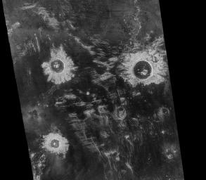 PIA00214: Venus - Lavinia Region Impact Craters