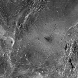PIA00245: Venus - 600 Kilometer Segment of Longest Channel on Venus