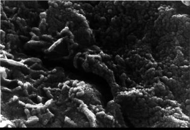 PIA00285: Mars Life? - Microscopic Tubular Structures