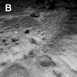 PIA01133: Sojourner Rover View of Well-Rounded Pebbles in "Cabbage Patch"