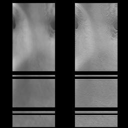 PIA01174: MOC View of Mars98 Landing Zone - 1/16/98