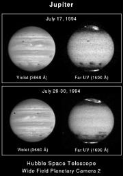 PIA01266: Jupiter's Upper Atmospheric Winds Revealed in Ultraviolet Images by Hubble Telescope