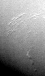 PIA01995: Neptune's South Polar Region