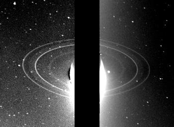 PIA01997: Rings of Neptune