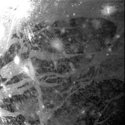 PIA02286: Ganymede Varied Terrain