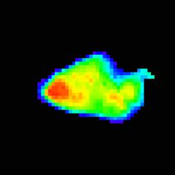 PIA02886: Annefrank Near Closest Approach