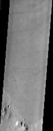 PIA03911: Enigmatic Terrain of Elysium Planitia