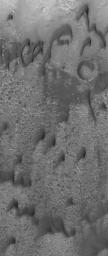 PIA03976: Dark Martian Dunes