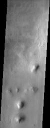 PIA04059: Arcadia Planitia