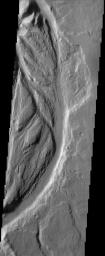 PIA04077: Channels near Lucus Planum
