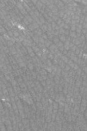 PIA04882: Cracked South Polar Plain