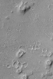 PIA05019: Isidis Planitia