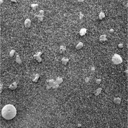 PIA05207: Mars Under the Microscope