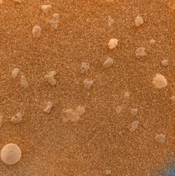 PIA05208: Mars Under the Microscope (color)