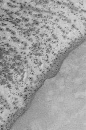 PIA05262: Defrosting South Polar Sand