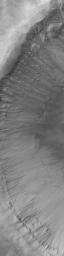 PIA05711: Gullies in Crater Wall