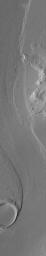 PIA05944: Marte Vallis Channel