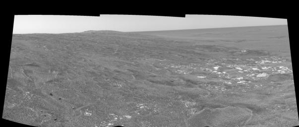 PIA05966: Opportunity View on Sol 109 (left eye)