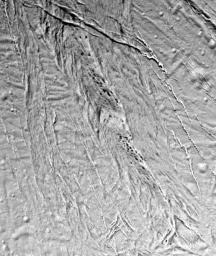 PIA06188: Seeing Enceladus' Faults