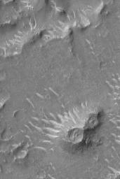 PIA06330: Isidis Planitia Features