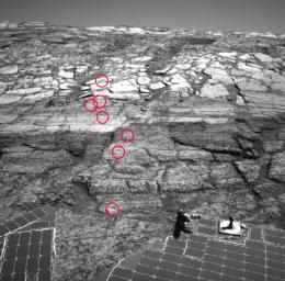 PIA06719: Opportunity Leaves a Trail of 'Rat' Holes