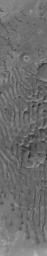 PIA06856: Dunes in Noachis Terra