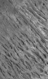 PIA07116: Crater Floor Yardangs