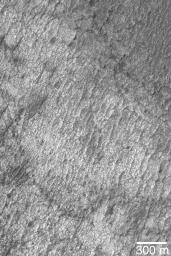 PIA07119: Polygon/Cracked Sedimentary Rock