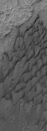 PIA07152: Dunes of Herschel