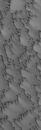 PIA07203: Martian Sand Dunes