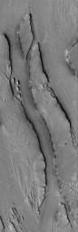 PIA07940: Athabasca Streamlines