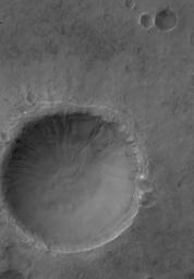 PIA08078: Gullied Crater
