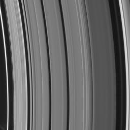 PIA08330: New Rings for Cassini's Division