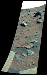 PIA08577: Possible Meteorites in the Martian Hills (False Color)