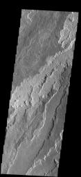 PIA09296: Arsia Mons Flows
