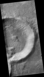 PIA09566: Gullies on the Exterior Wall of a Crater