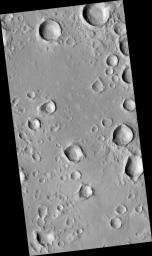 PIA09584: A Field of Secondary Craters