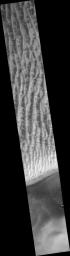 PIA09631: Sand Dune Field in Richardson Crater