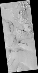 PIA09705: Fractured Mounds in Elysium Planitia