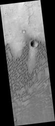 PIA09718: Dunes in Herschel Crater