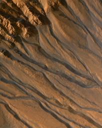 PIA10001: Gullies with Characteristics of Water-Carved Channels
