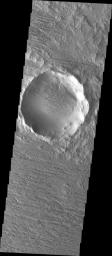 PIA10034: Back in View