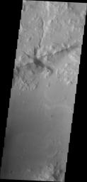 PIA10274: Crater Delta