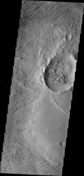 PIA10278: Wind Action