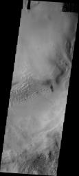 PIA10287: Hooke Crater Dunes