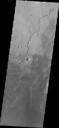 PIA10291: Newton Crater
