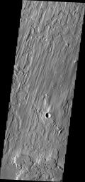 PIA10332: Elysium Planitia