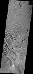 PIA10343: Wind Action