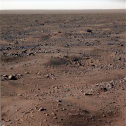 PIA11132: Frost on Mars